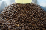 kaffeesatz